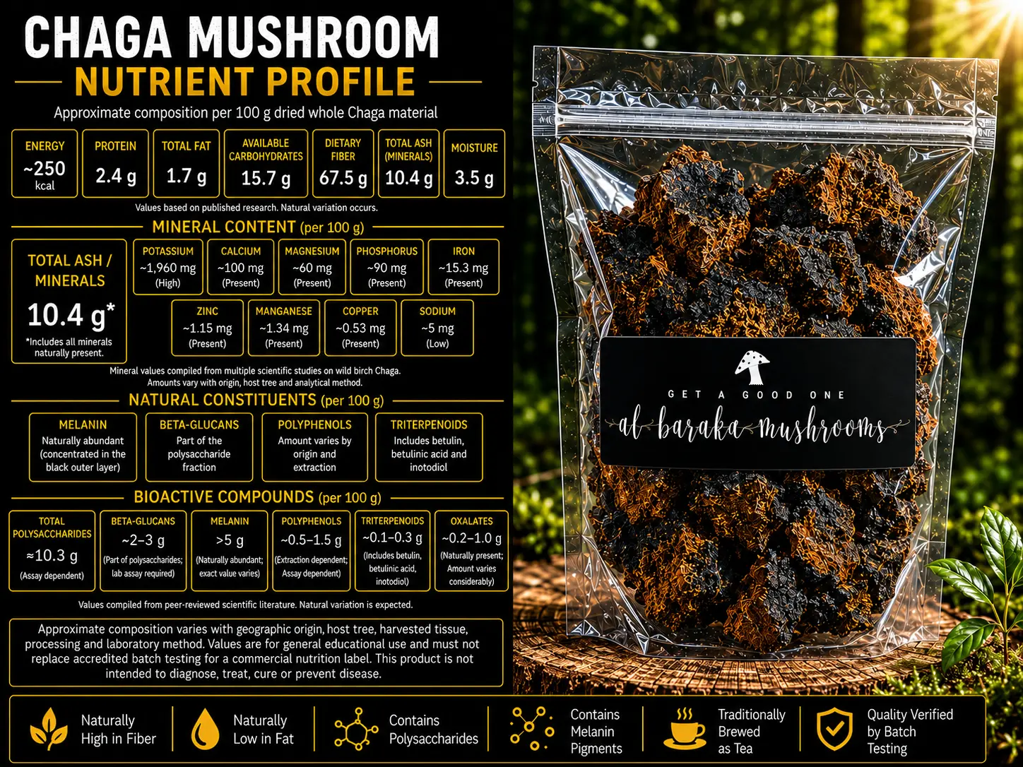Dried Chaga Mushroom (Inonotus obliquus) - Image 4