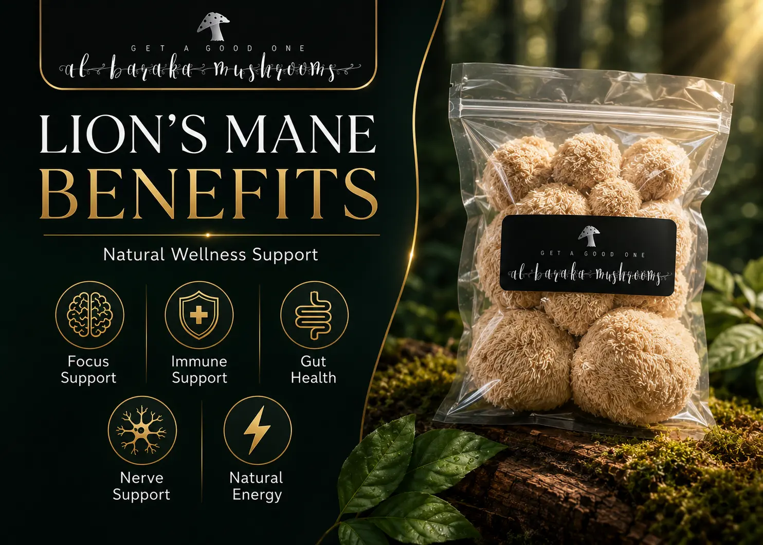 DRIED LION'S MANE MUSHROOM - Image 3