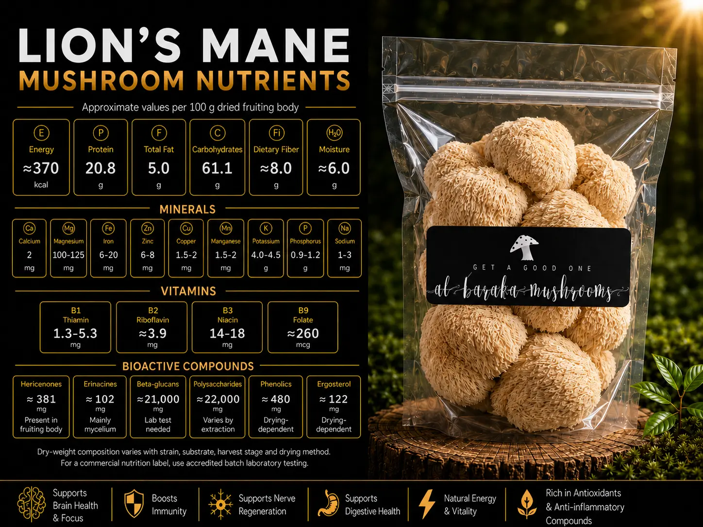 DRIED LION'S MANE MUSHROOM - Image 7