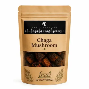 Dried Chaga Mushroom (Inonotus obliquus)